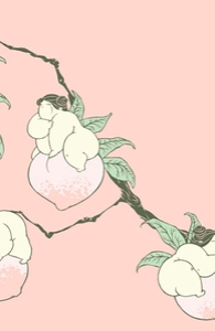 Chinese Peaches