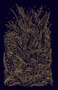 Tropical Garden