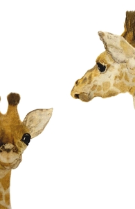 Seeing Spots, Animals + Threadless Collection
