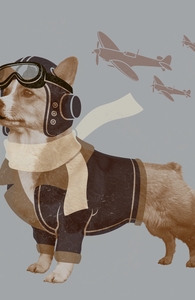 Defenders of the Sky, Animals + Threadless Collection