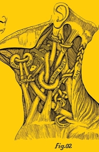 Fig. 02