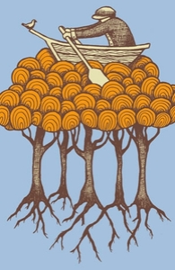 Sailing The High Trees