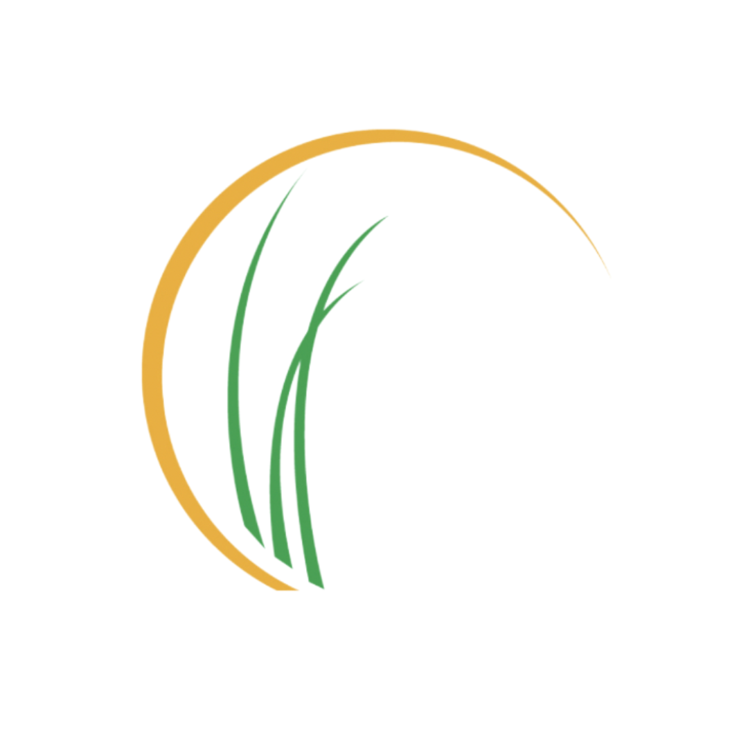 View jobs at Bay Lake