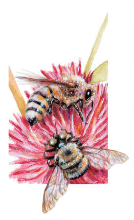 Honeybees