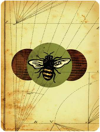 Bee on a distressed background with geometrical lines