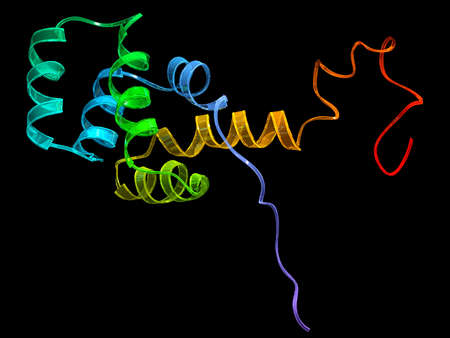 Human cytokine receptor