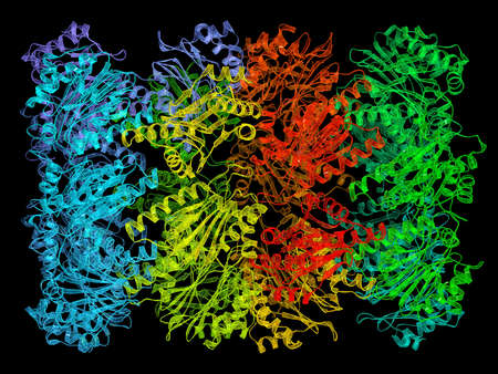 Proteasome from the archaebacterium Thermoplasma acidophylum