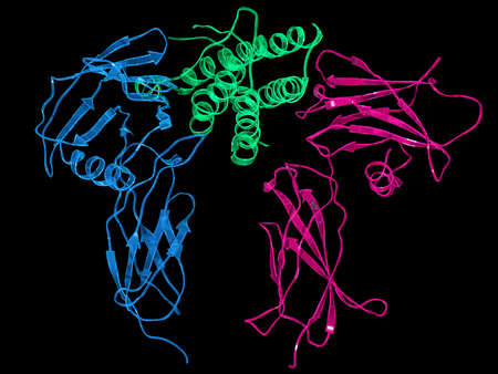 Human Erythropoietin