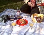 picnic