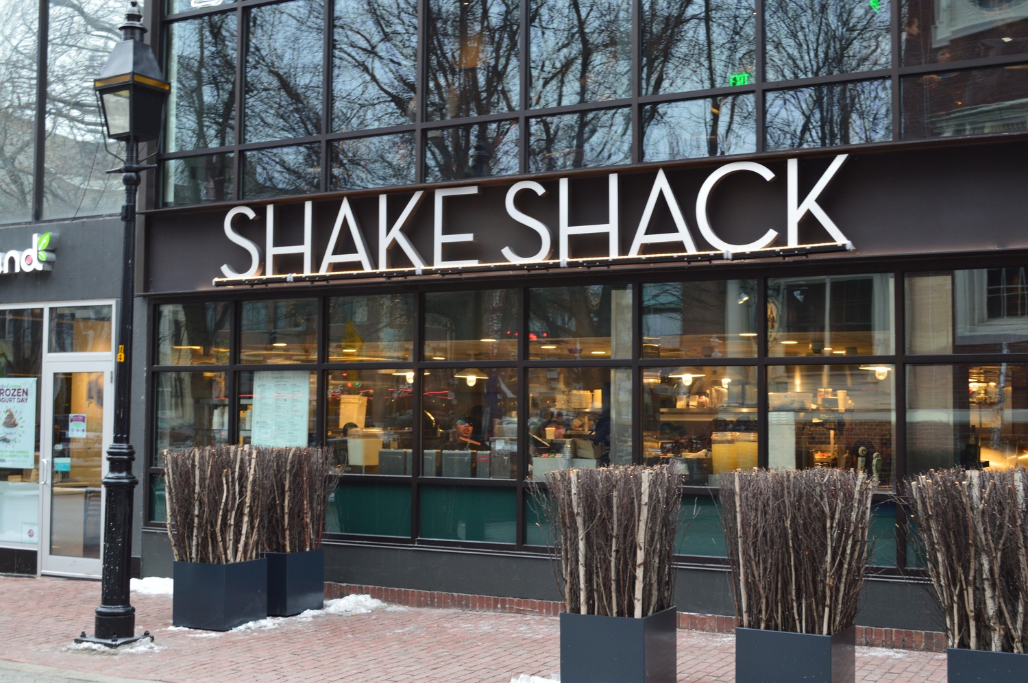 Shake Shack has attracted large numbers of students and locals since it arrived in Winthrop Square earlier in January.