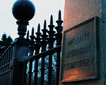 Mt. Auburn Cemetery