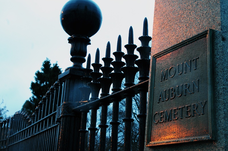 Mt. Auburn Cemetery