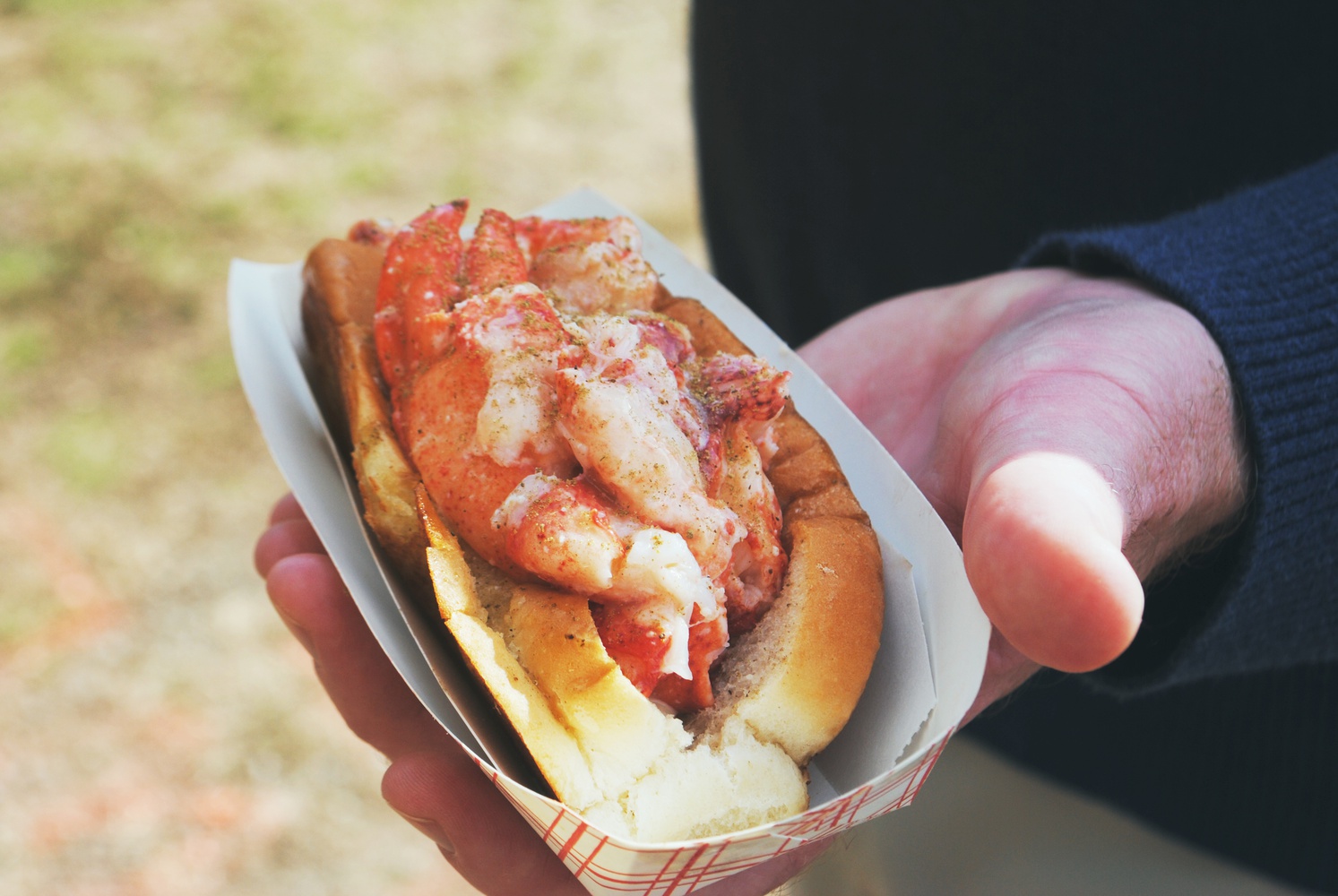 Lobsta Rolls Magazine The Harvard Crimson