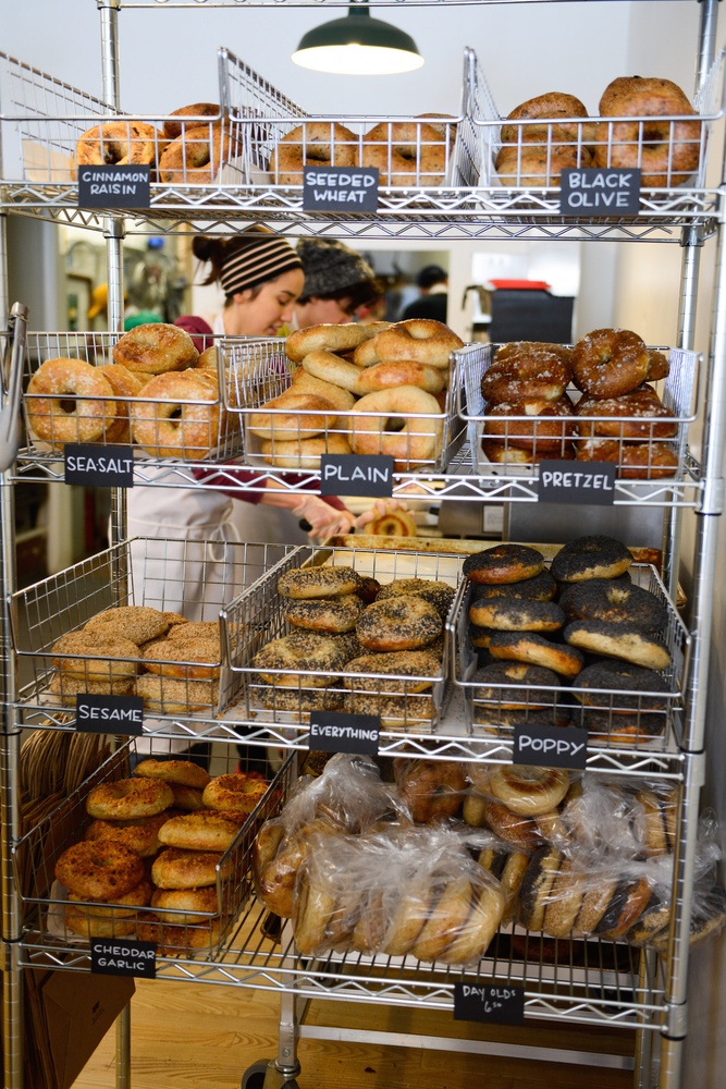 Bagelsaurus Assortment Magazine The Harvard Crimson