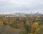 Mount Auburn Cemetery View 