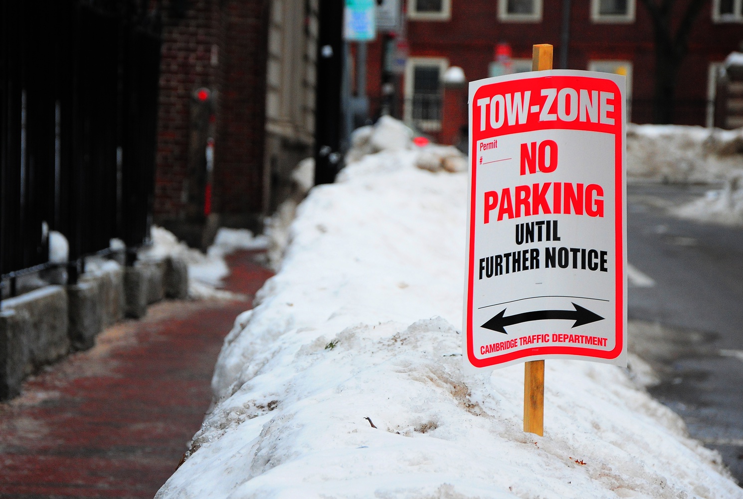 No Parking Bans News The Harvard Crimson