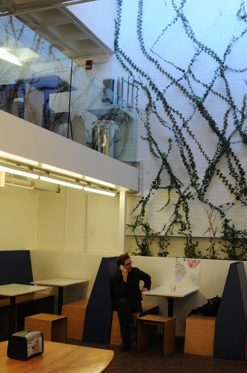 Best Iced Coffee Around Harvard