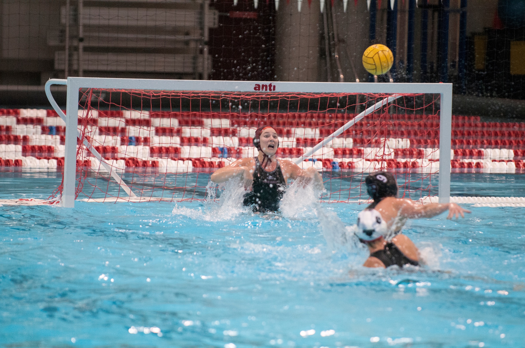 Women's Water Polo Shuts Down Brown in Home Victory Sports The