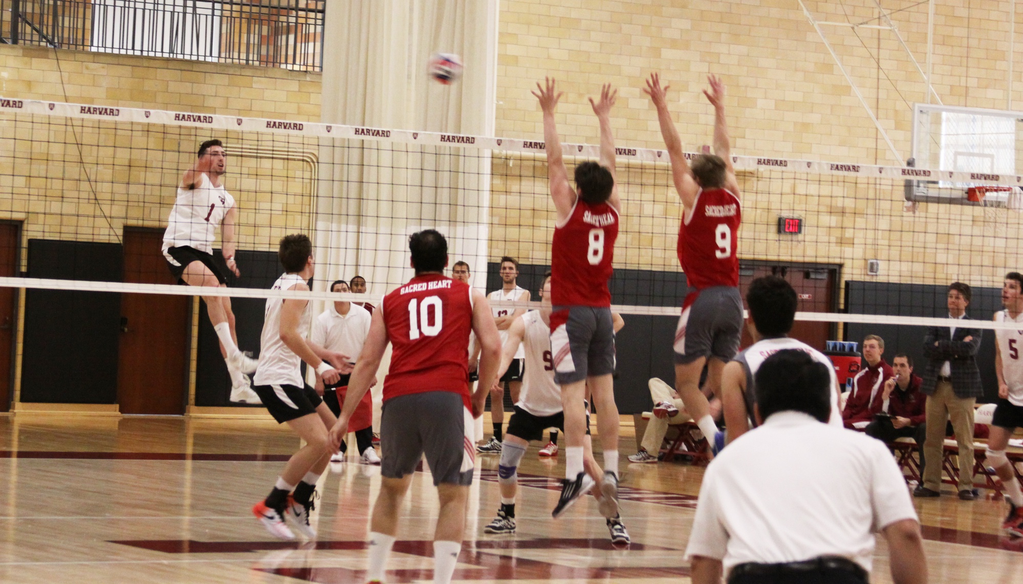 Men's Volleyball Season Ends Against Mason Sports The