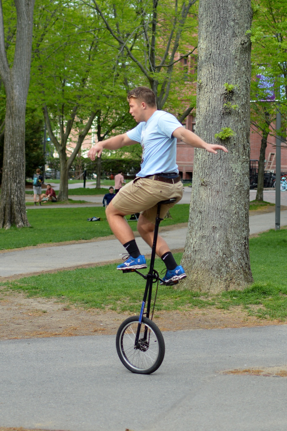 Photos of the Day (05/13/201505/14/2015) News The Harvard Crimson