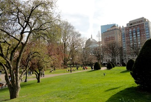 Take a pinch of Boston, add snow, and you've got yourself an epic snowball fight.