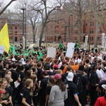 The Gathering Crowds