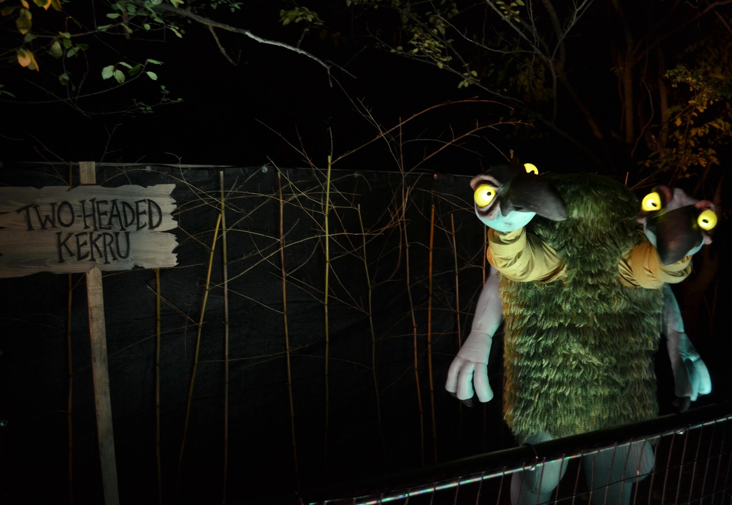 Midnight Zoo Puppet Magazine The Harvard Crimson