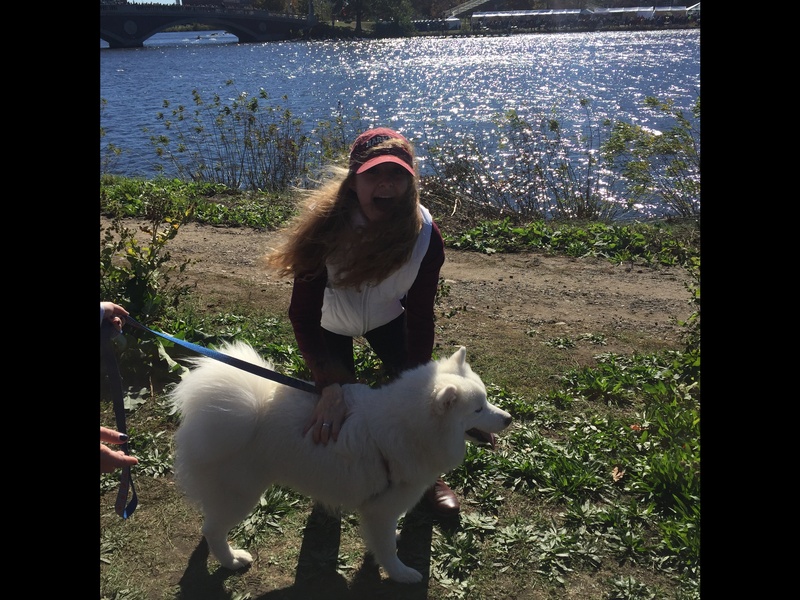 Puppy Heaven at HOCR2016