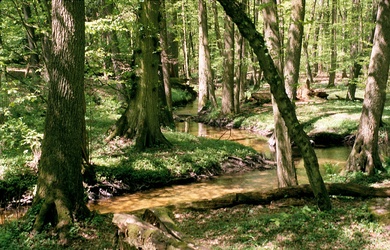 This Is What I Imagine Alabama Looks Like