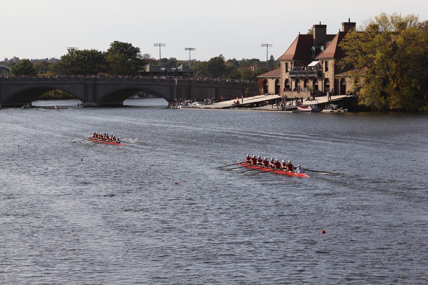 Boats and Rows | Sports | The Harvard Crimson