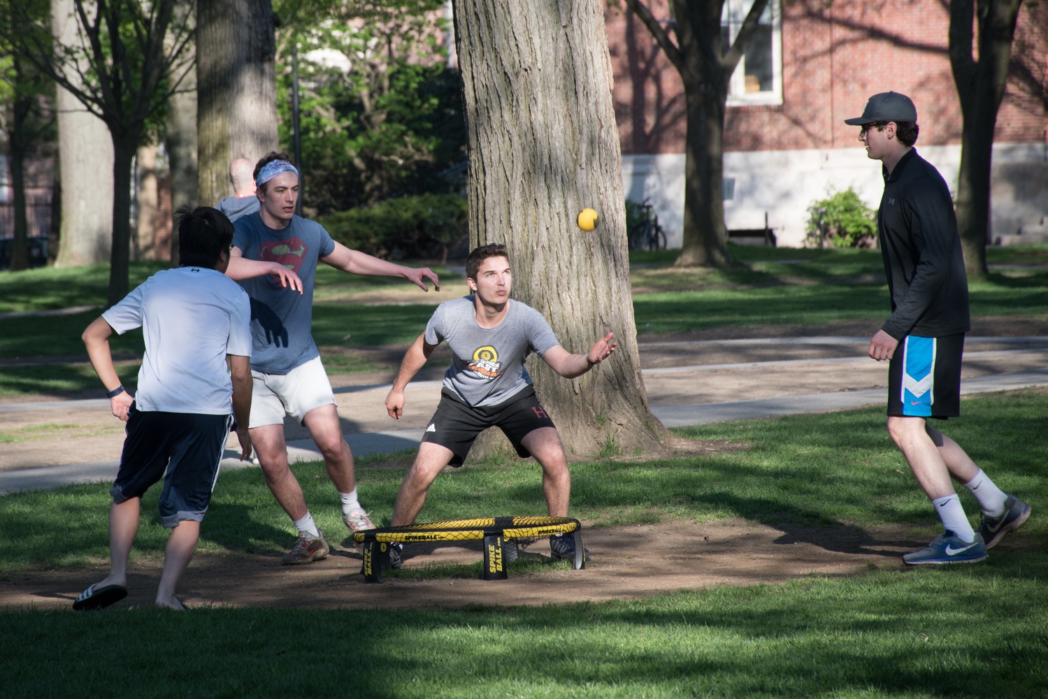 Spikeball News The Harvard Crimson