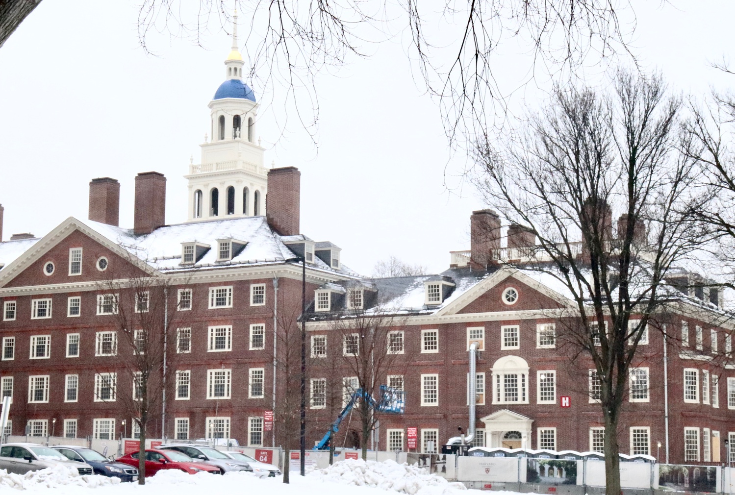 A Harvard President's Pogrom Warning – Boulder Jewish News - Vimarsana News
