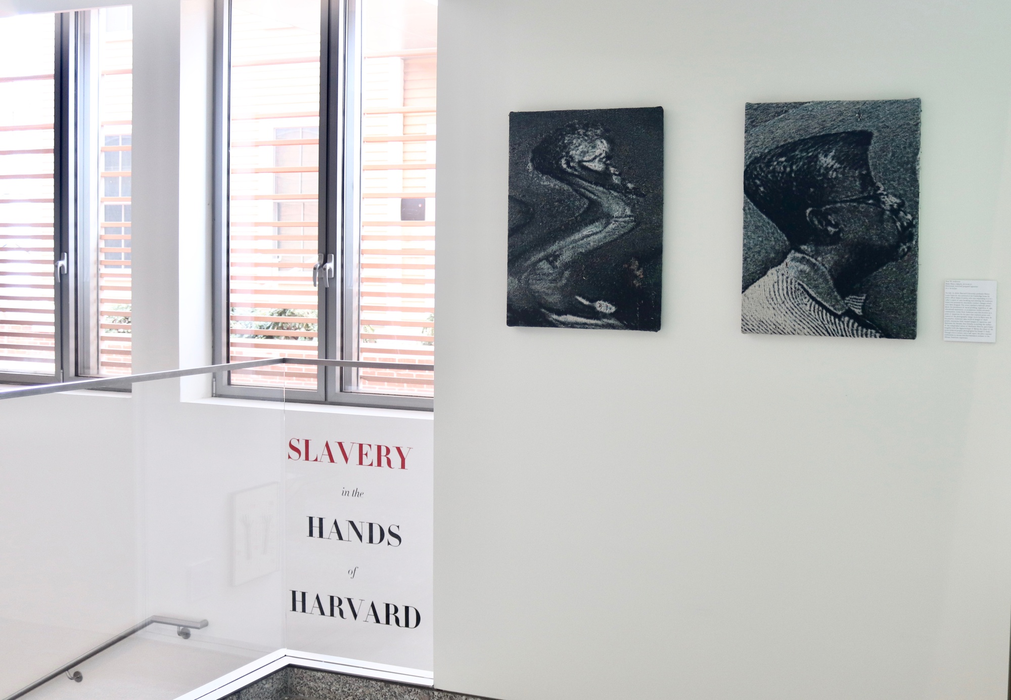 Harvard Students Form Coalition Supporting Slave Photo Lawsuit's