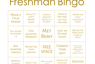 freshman bingo 2019