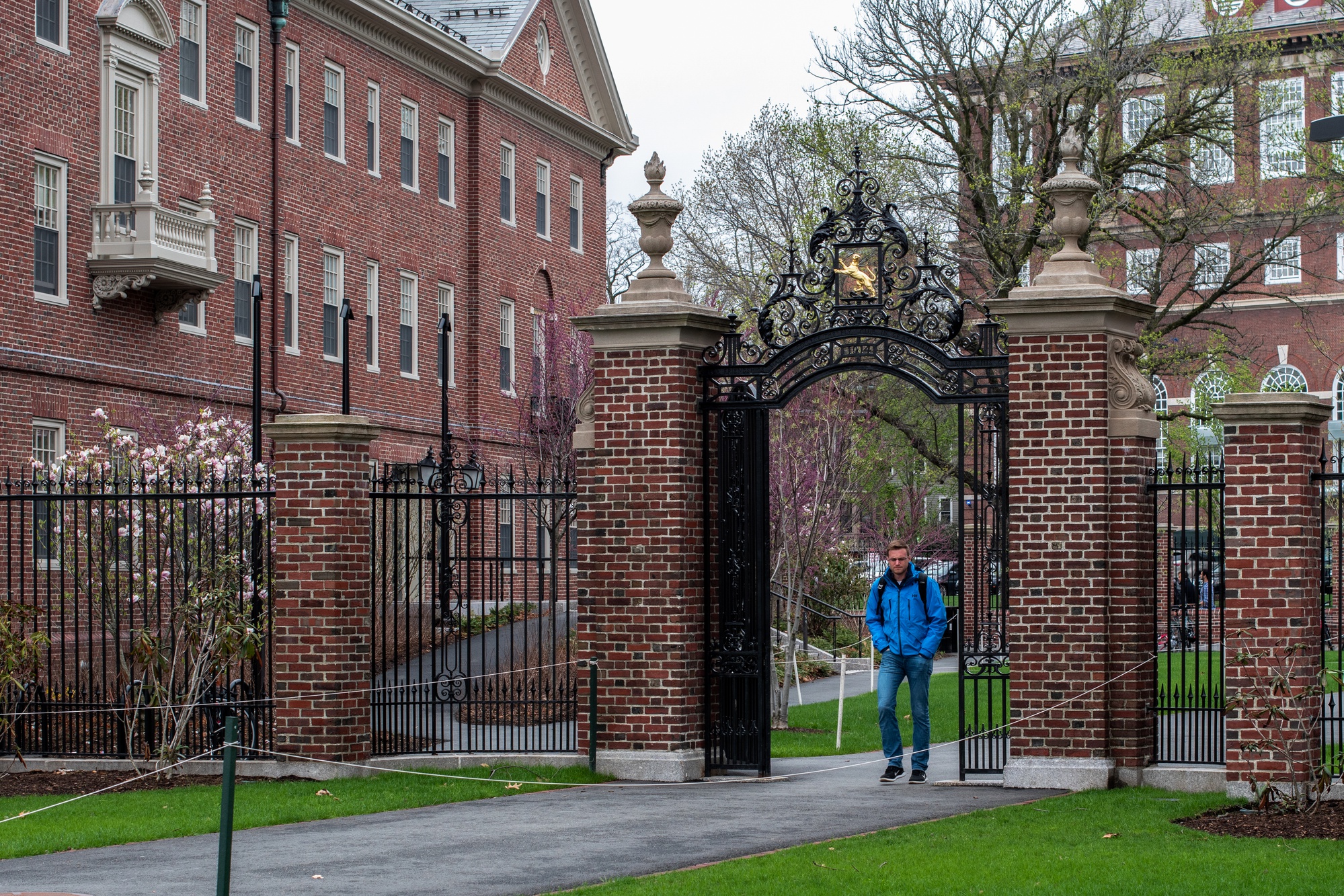 Mass. Criminal Defense Lawyers Release Statement Condemning Harvard’s