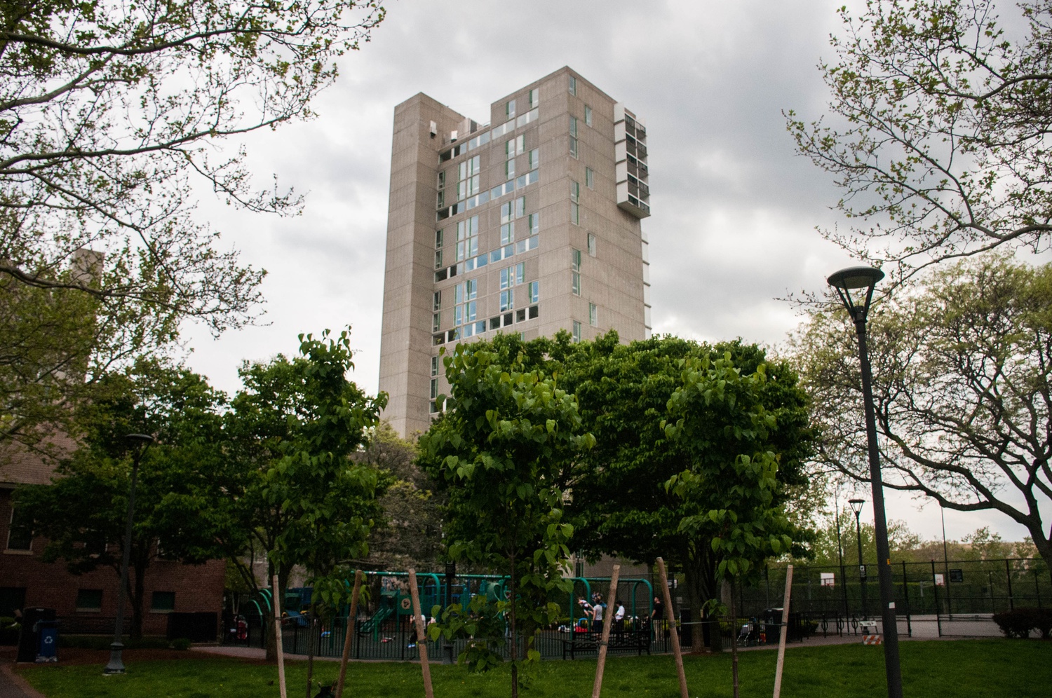 Peabody Terrace 1 News The Harvard Crimson