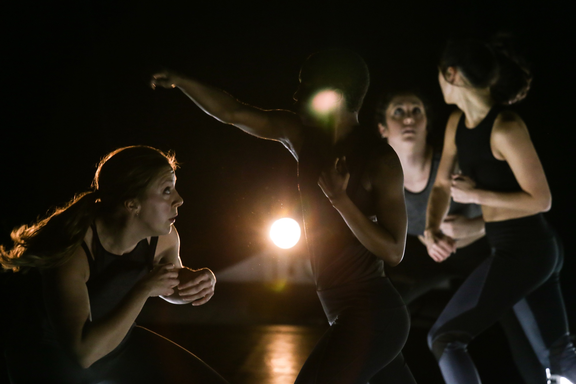 Luminarium Dance Company Lives up to Their Name Arts The Harvard
