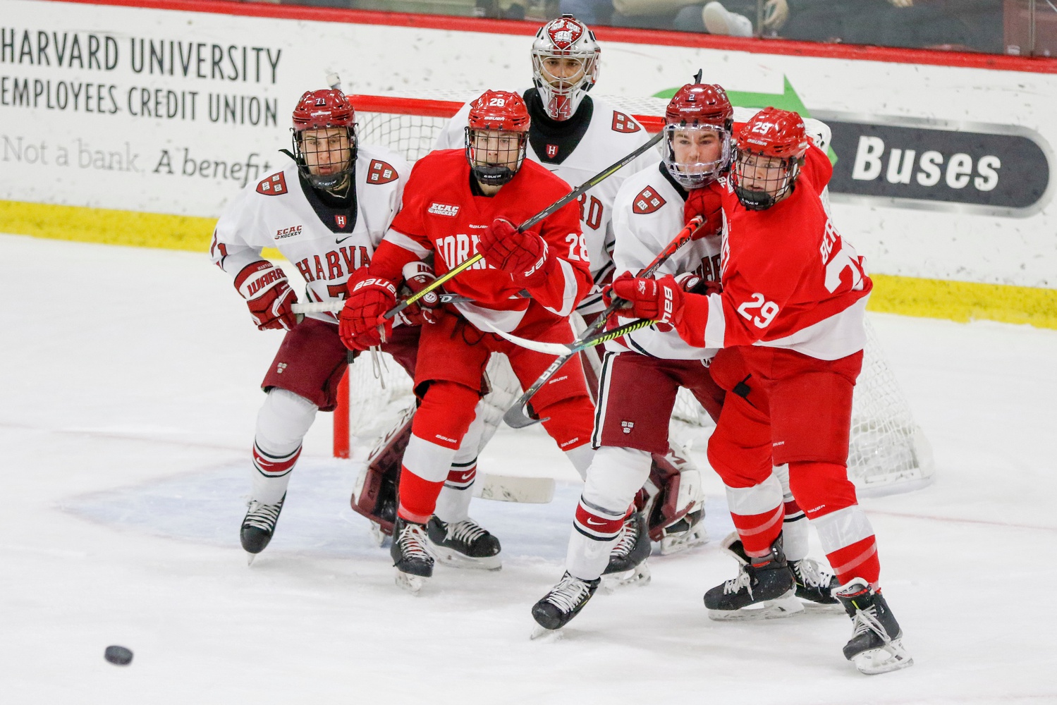 Back in Ithaca Sports The Harvard Crimson