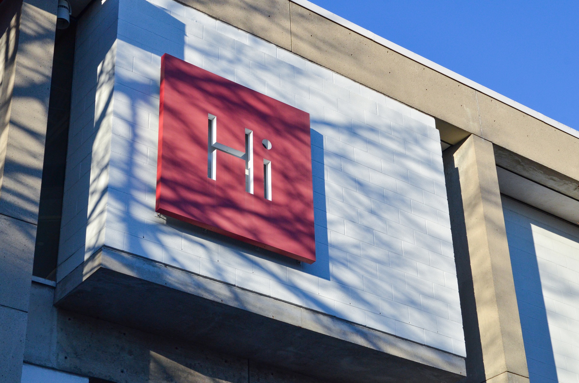 How To Change the World and Have Harvard Pay For It | Opinion - Vimarsana News