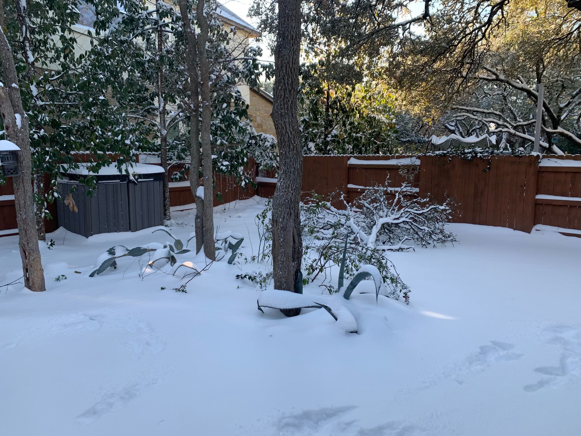 'It's Not Getting Any Better': Undergrads in Texas Contend with Snow, Power Outages | News - Vimarsana News