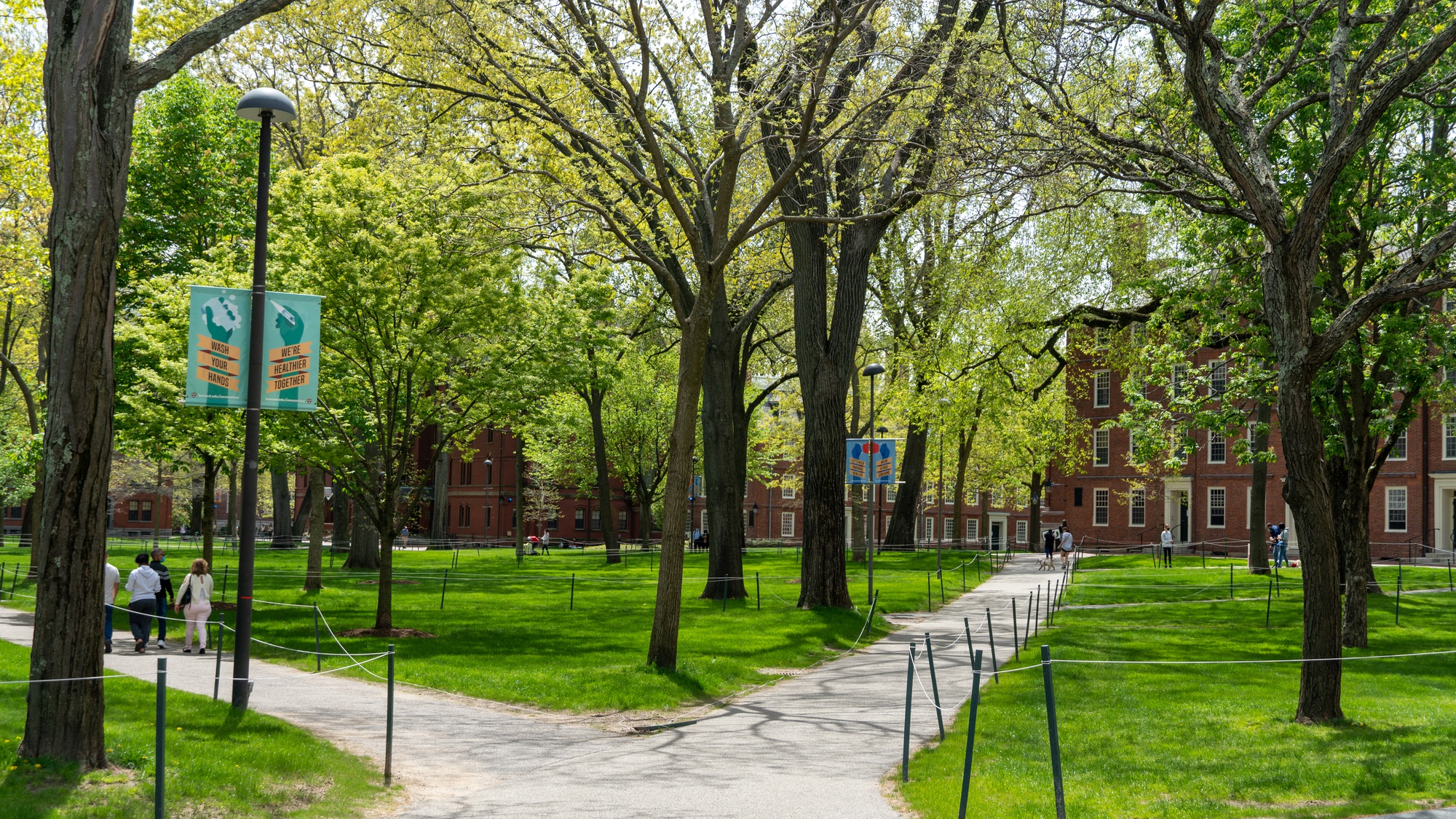 Palestine Student Groups, Faculty Denounce Israeli Government's Use of Force Against Palestinians | News - Vimarsana News