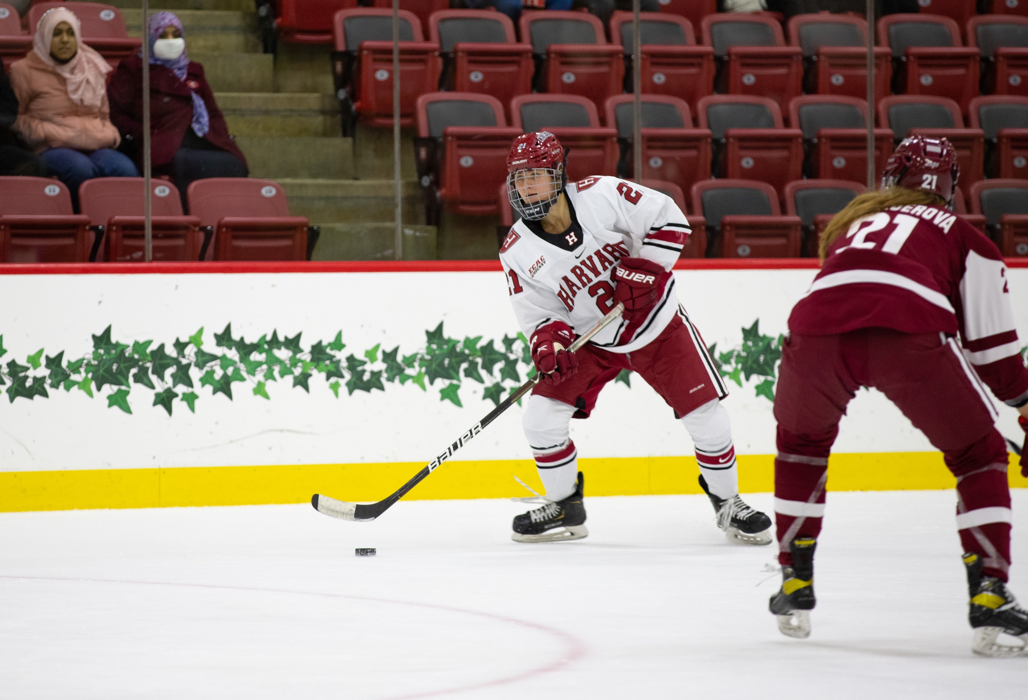 Undergrads Found Group to Support Queer Athletes, Improve Harvard Athletics Policies and Culture | News - Vimarsana News