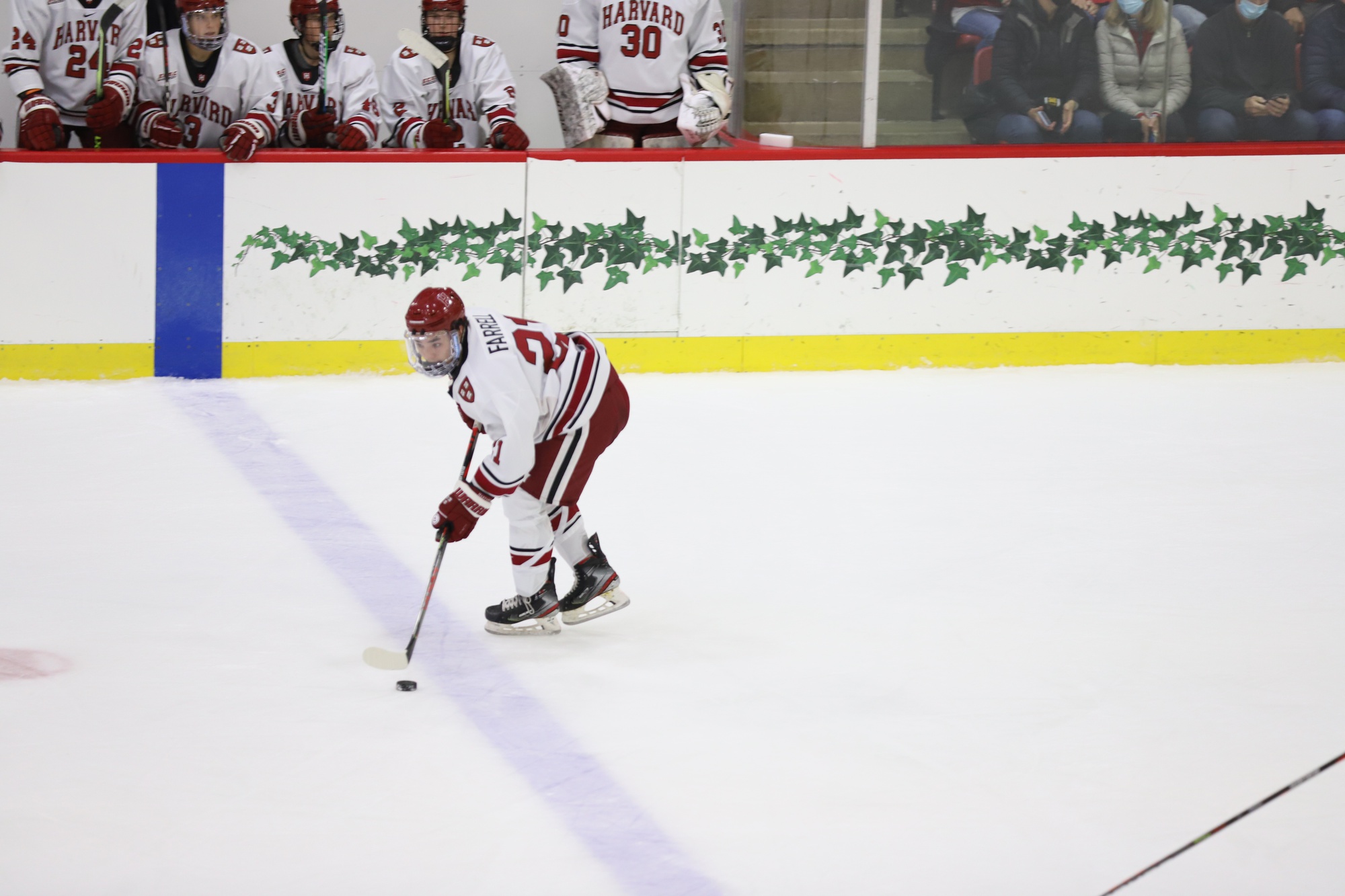 Men's Ice Hockey's Abruzzese and Farrell Selected for Team USA in 2022 Olympics | Sports - Vimarsana News