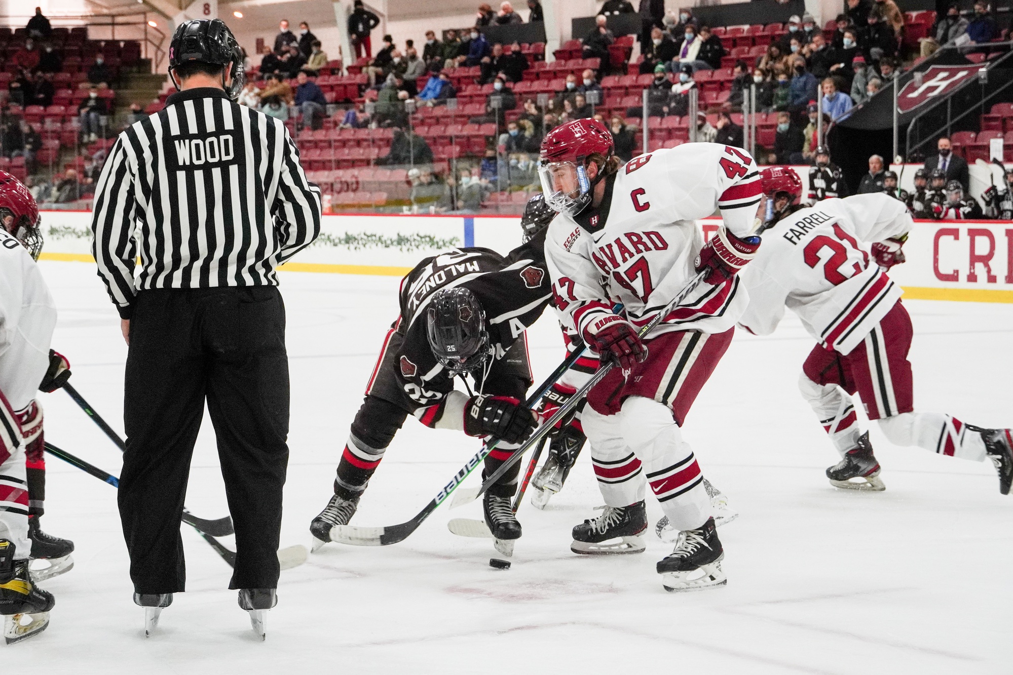 Men's Ice Hockey Splits Weekend with Conference Competition | Sports - Vimarsana News