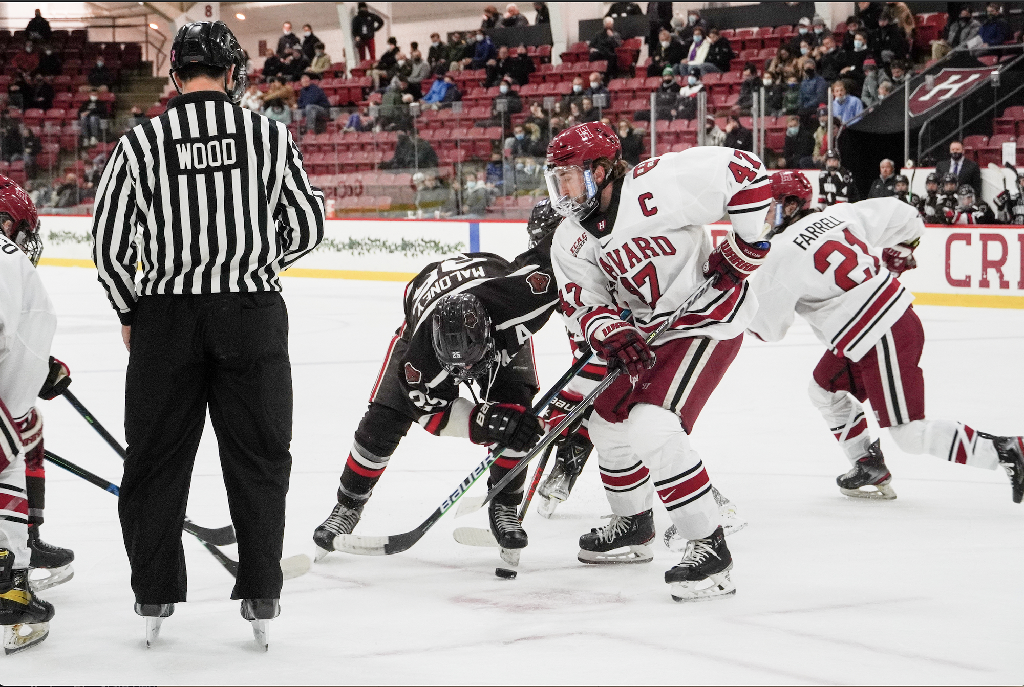 Men's Hockey Shut Out by RPI in Tuesday Night Game | Sports - Vimarsana News