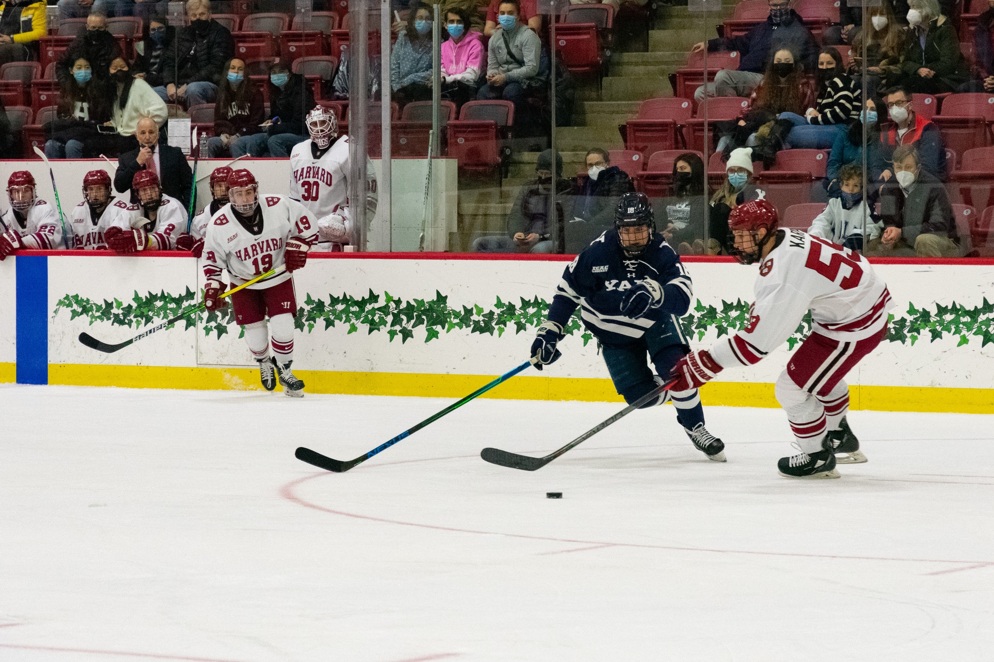 Men's Ice Hockey Clinches Ivy League Title with Two Victories in its Final Homestand | Sports - Vimarsana News