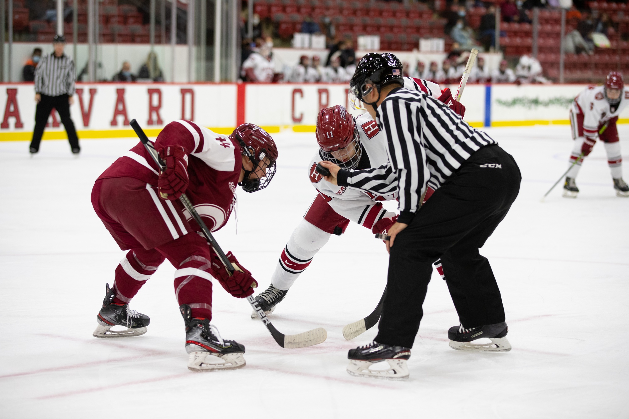 Women's Ice Hockey's NCAA Postseason Berth in Jeopardy after Opening-Round Loss in ECAC Playoffs | Sports - Vimarsana News