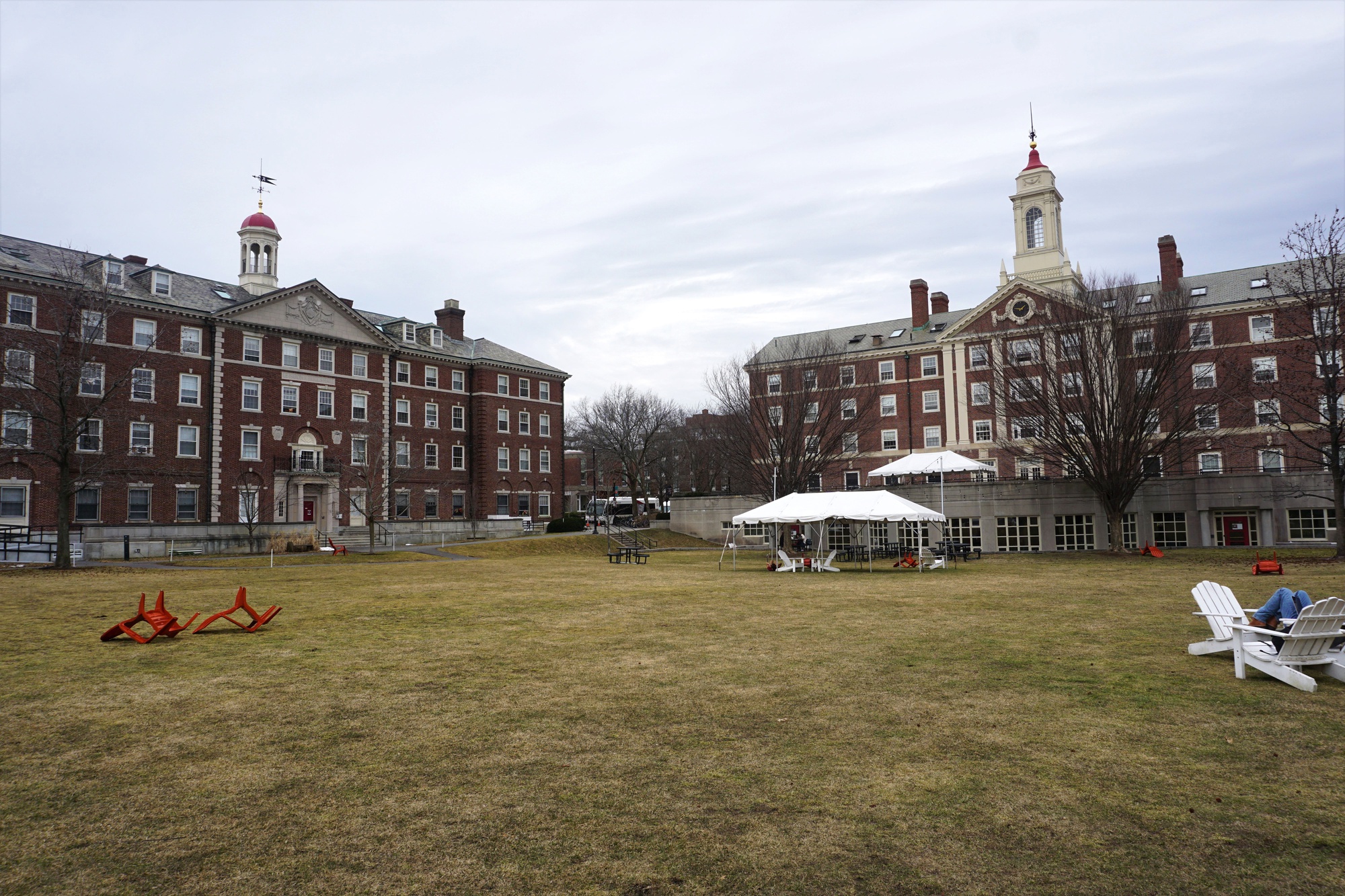 Harvard College Sees Uptick in Interhouse Transfer Applications | News - Vimarsana News