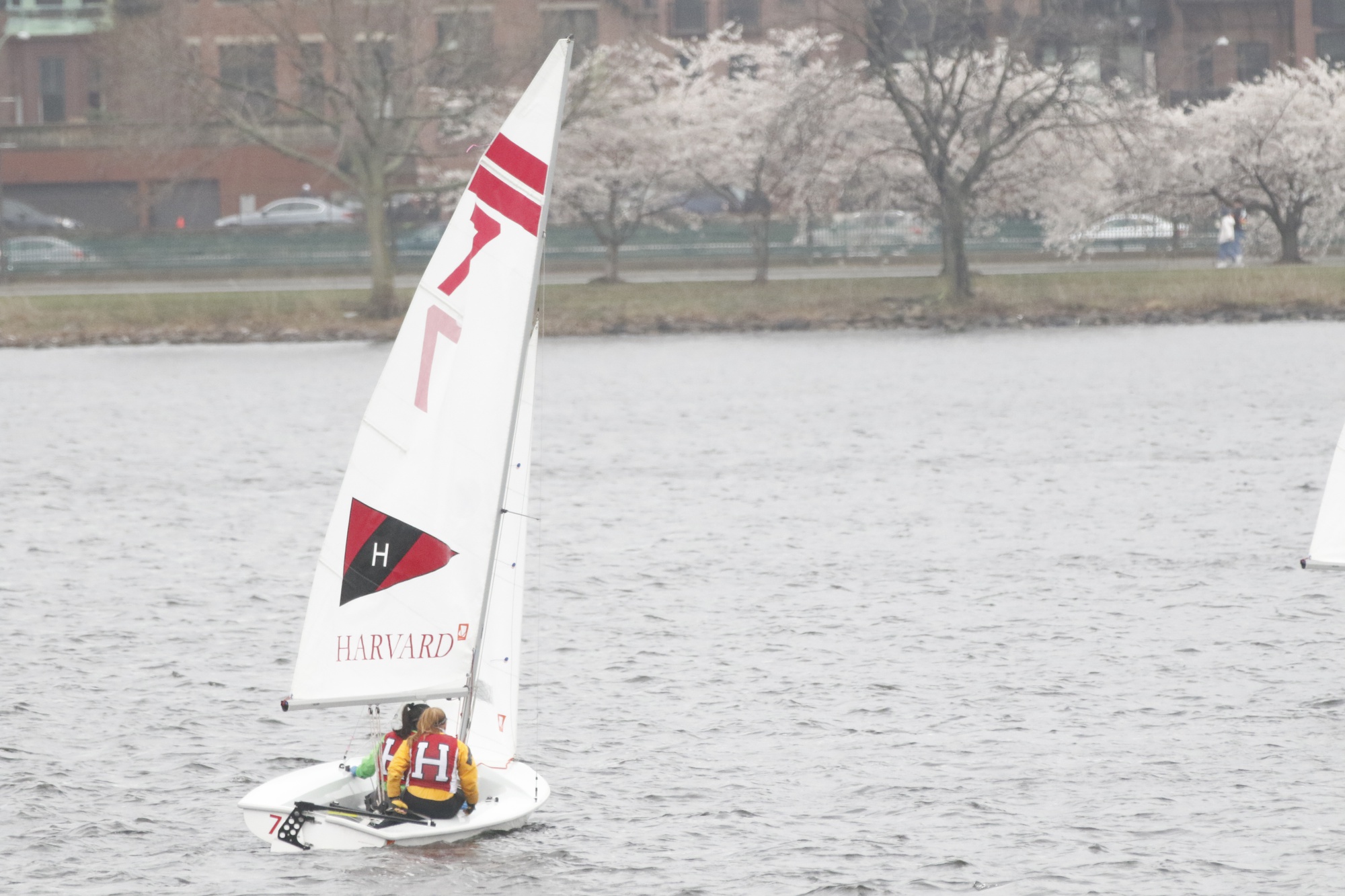 Undermanned Sailing Beats the Odds at NEISA Team Race Championships | Sports - Vimarsana News