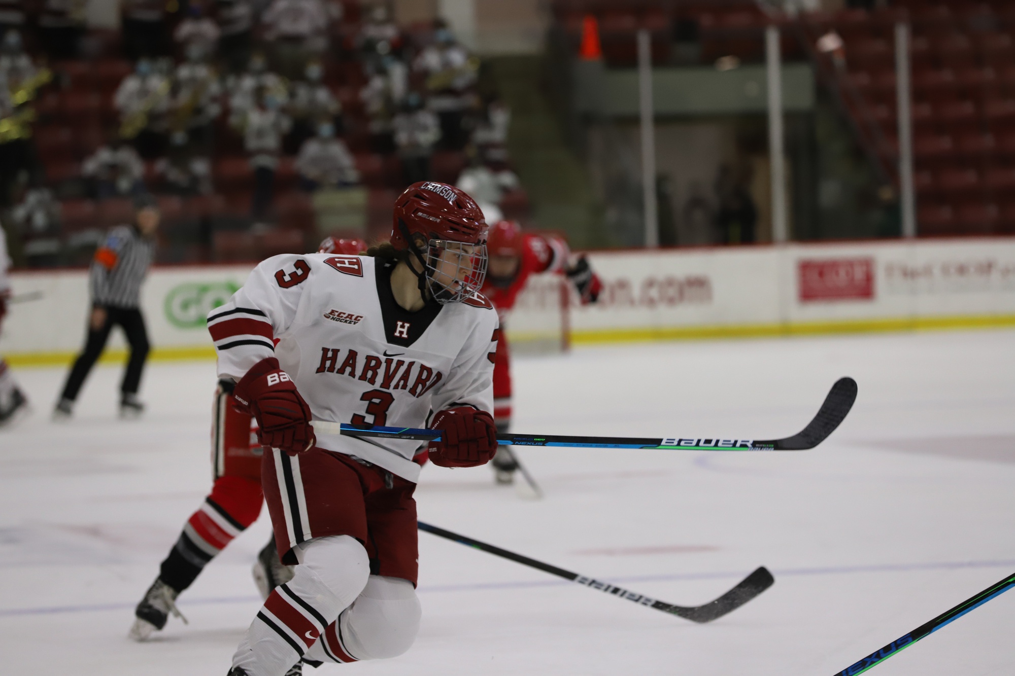 Growing Pains or Beginner's Luck?: No. 13/13 Women's Ice Hockey Returns to Bright-Landry | Sports - Vimarsana News